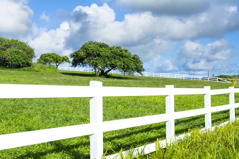 Best Fence Painting Contractors in Shakopee, MN